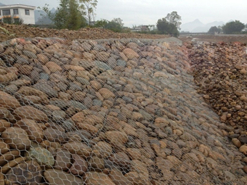 3841491803937.jpg 3841491803937.jpg