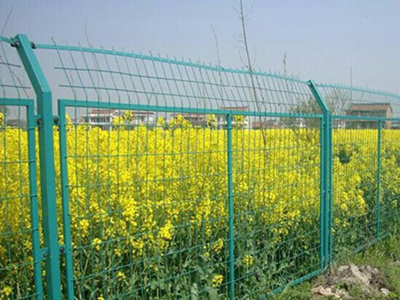 3030526643256288536.jpg 3030526643256288536.jpg